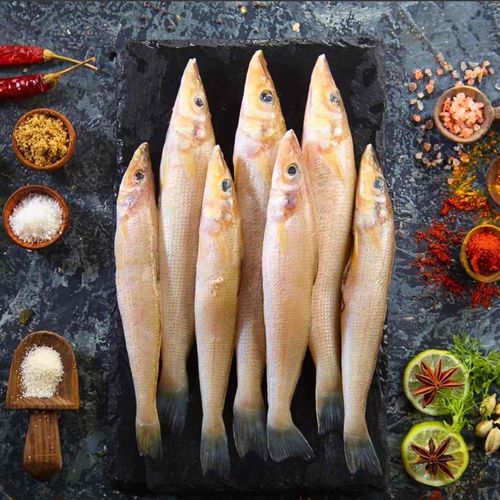 Medium Size White Kizhangan Fish / Lady Fish