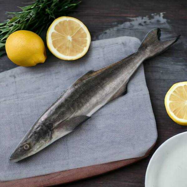 Kadal Viral Whole Fish (Cobia)