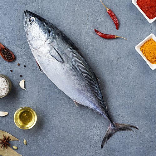 Tuna Whole Fish (Kera or Vari Surai Fish)