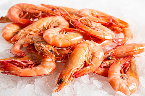 Big Size Fresh Prawns (Eral)