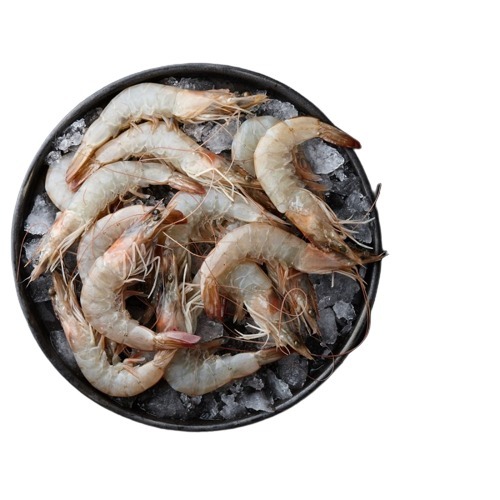 Big Size White Prawns