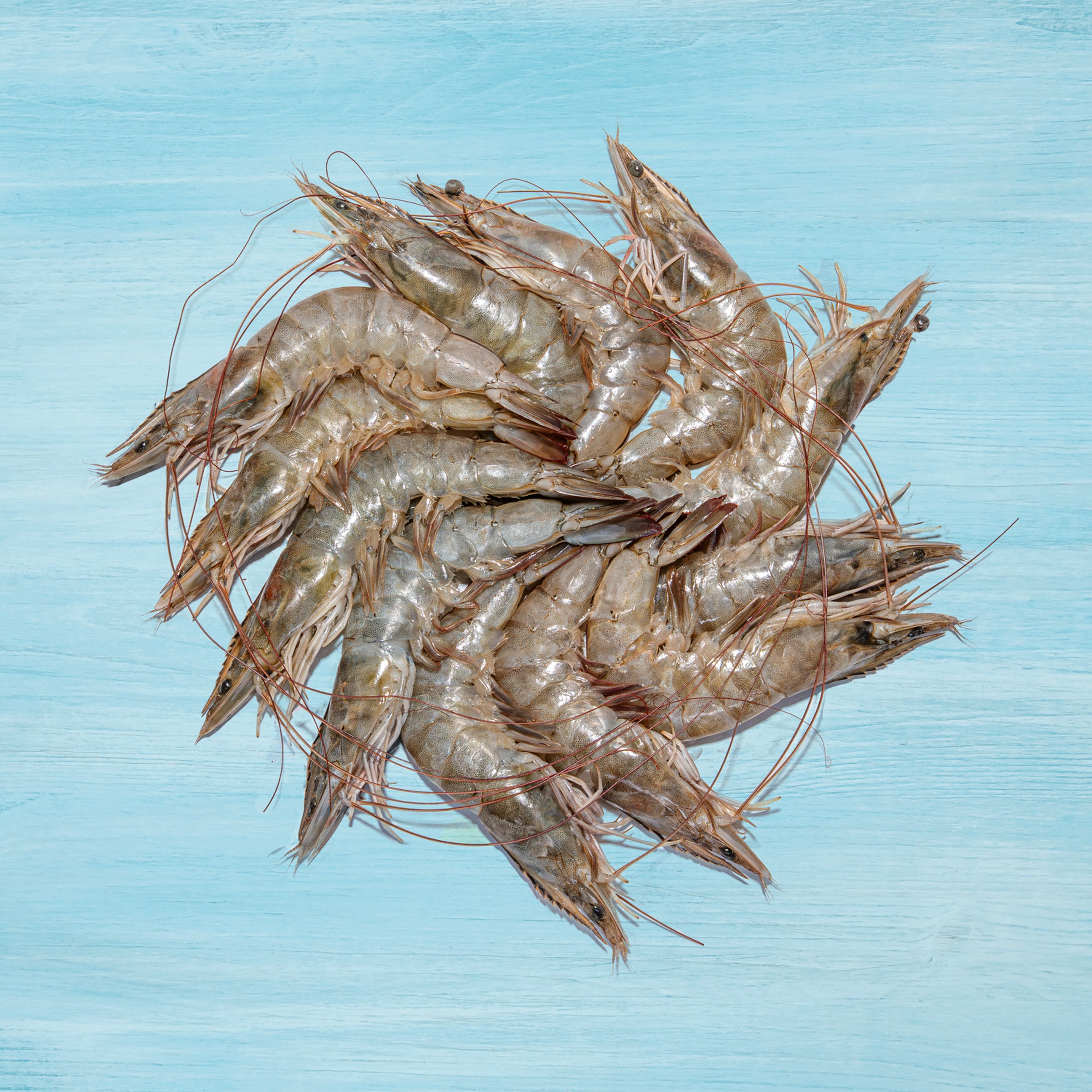 Medium Tiger Prawns (Eral)