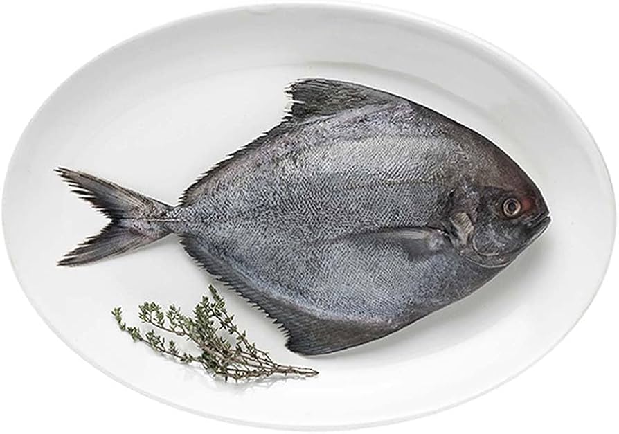Ultra Big Black Pomfret Fish (1 Pc / KG)