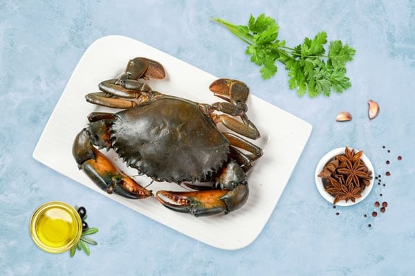 Mud Crab (Nandu) - 1 Pc