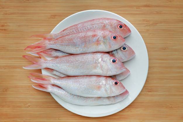 Medium Sankara Fish