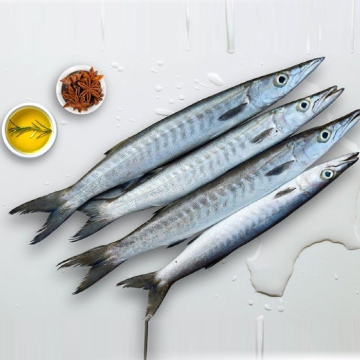 Big Size Seela Fish (Barracuda)